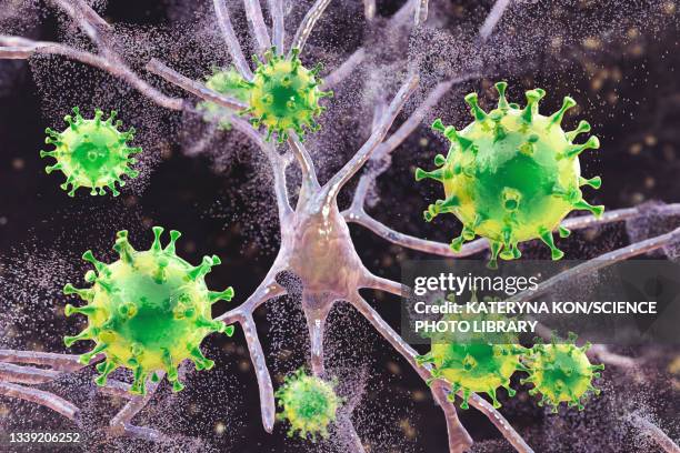 viral encephalitis, conceptual illustration - axon stock illustrations