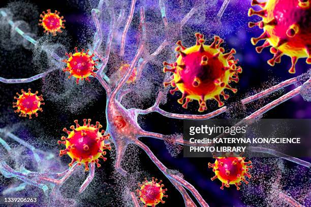viral encephalitis, conceptual illustration - arenavirus stock illustrations