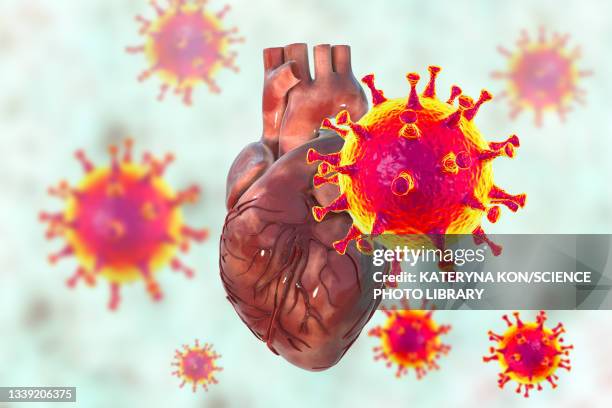 ilustrações, clipart, desenhos animados e ícones de covid-19 viruses affecting the heart, illustration - coronavirus