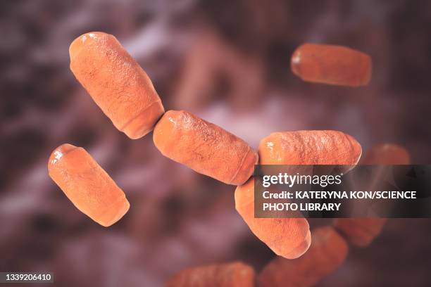 intestine archaea methanobrevibacter smithii, illustration - archaebacteria stock illustrations