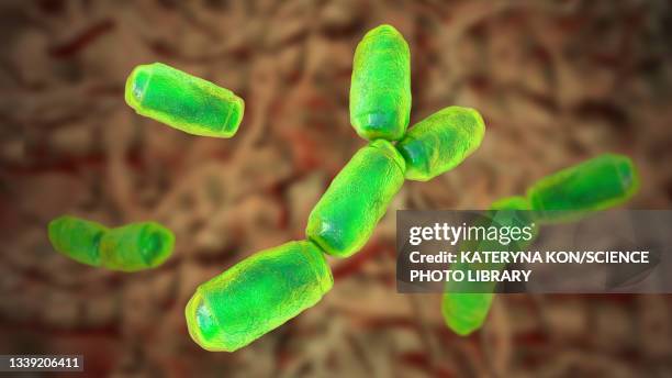Archaea Model 20 Archaea Bacteria High Res Illustrations - Getty Images