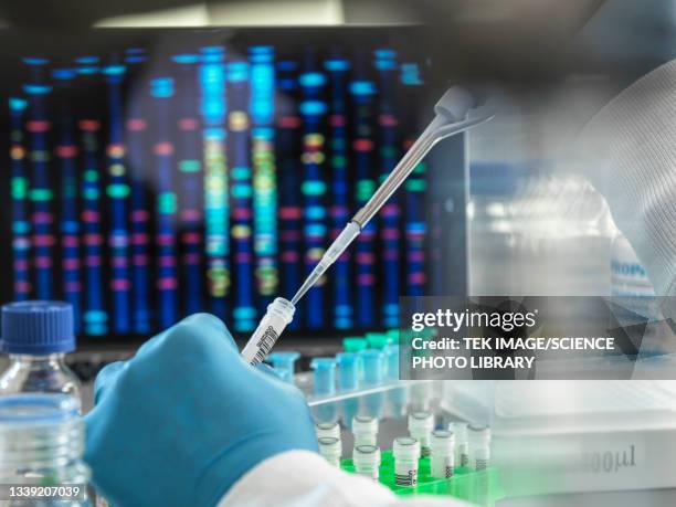 dna research - eppendorf tube stock pictures, royalty-free photos & images