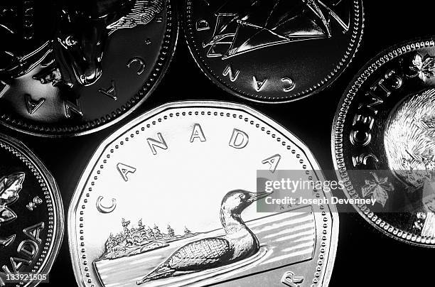 canadian coins - duiker freshwater bird stockfoto's en -beelden