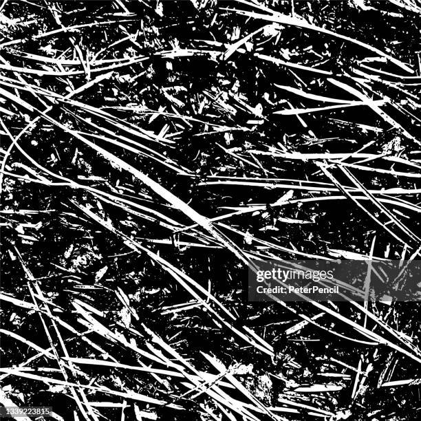 Scratchy Effect 452 Abrasive Background High Res Illustrations - Getty Images