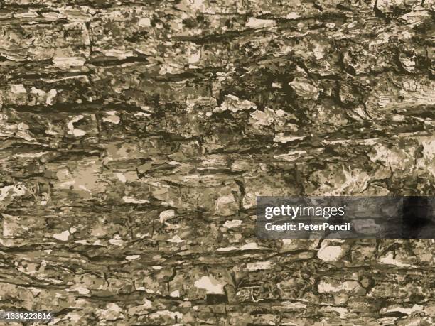 grunge texture - wood tree bark. black dusty scratchy pattern. abstract grainy background. vector design artwork. textured effect. crack. - tree bark texture stock illustrations