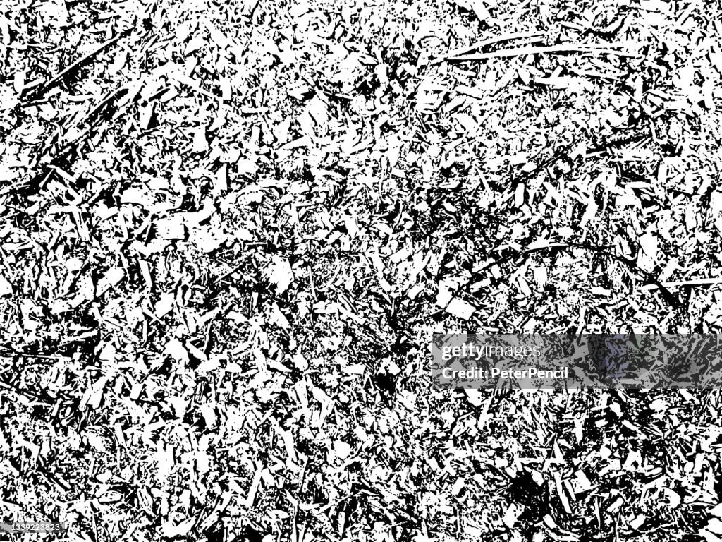 Sawdust Tree Bark Grunge Texture. Black Dusty Scratchy Pattern. Abstract Grainy Background. Vector Design Artwork. Textured Effect. Crack.