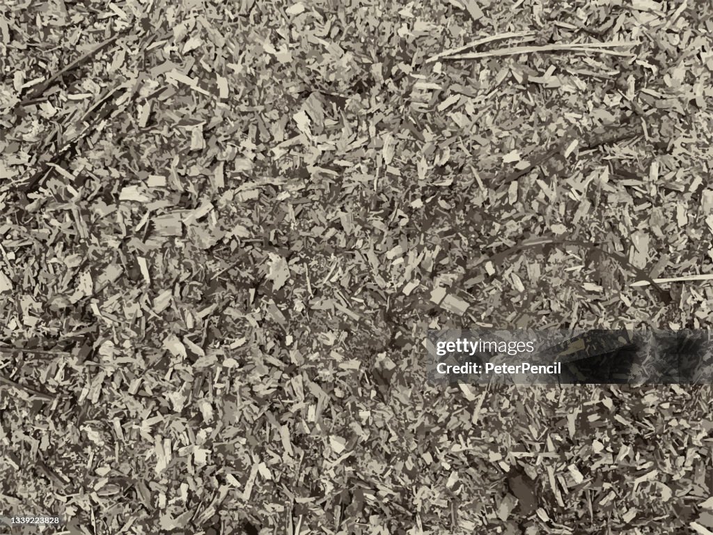 Sawdust Tree Bark Grunge Texture. Black Dusty Scratchy Pattern. Abstract Grainy Background. Vector Design Artwork. Textured Effect. Crack.