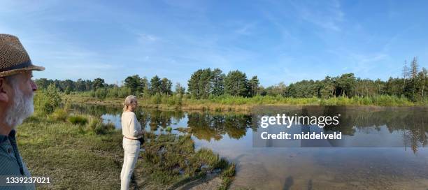 couple having a walk in the after summer heath - limburg stockfoto's en -beelden