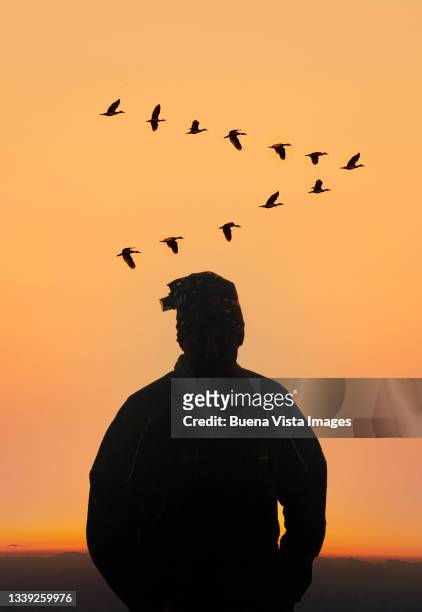 man watching migratory birds - migrazione animale foto e immagini stock