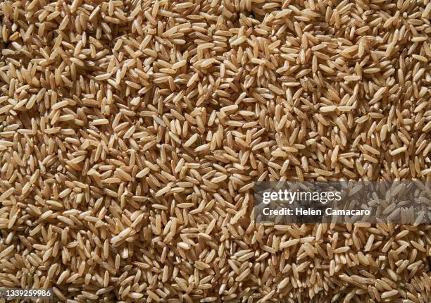 raw whole rice background. - arroz integral fotografías e imágenes de stock