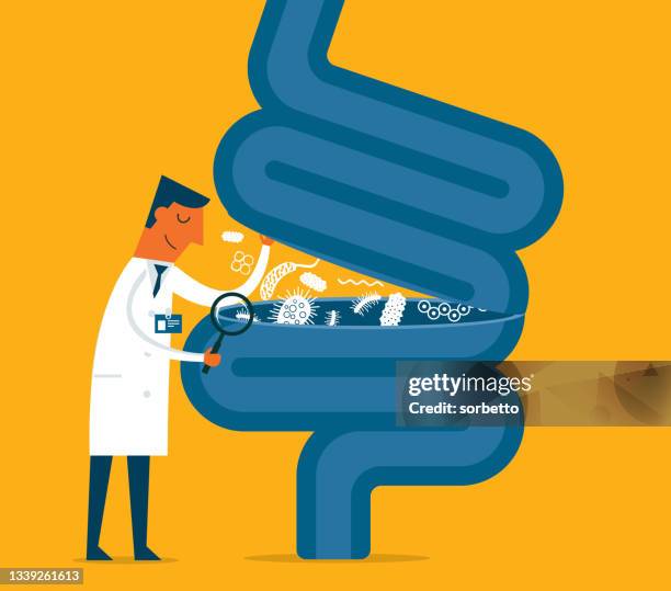 digestive system - magnifying glass - belly stock illustrations