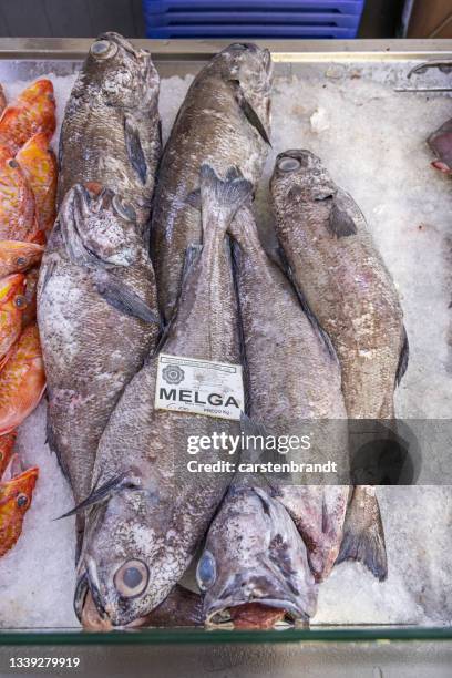 Cod Fishmonger 62 Goodly Stock Photos, High-Res Pictures, and Images - Getty Images