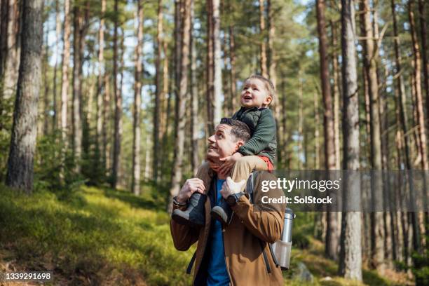 gemeinsam die welt erkunden - familie vor wald stock-fotos und bilder