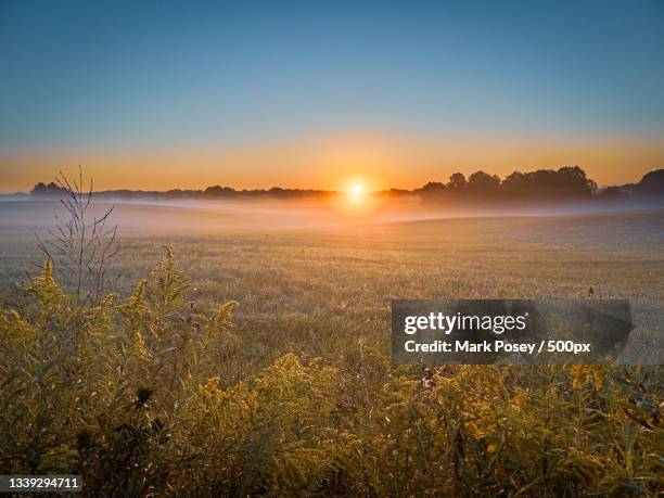 scenic view of field against clear sky during sunset,austintownship,michigan,united states,usa - michigan farm stock pictures, royalty-free photos & images