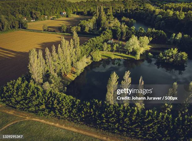 high angle view of trees growing on field,poitiers,france - poitiers stock-fotos und bilder