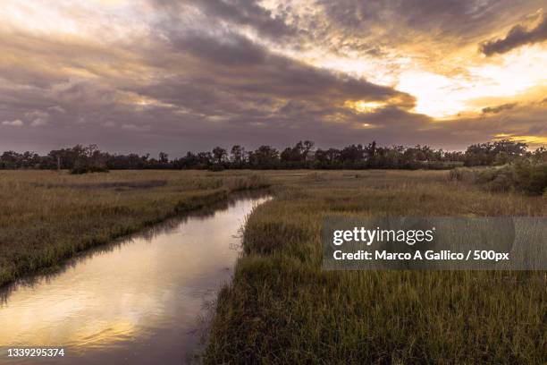 scenic view of field against sky during sunset,mobile,alabama,united states,usa - mobile alabama stock pictures, royalty-free photos & images