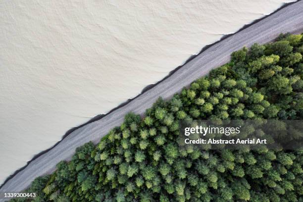 drone shot showing a forest and a lake separated by a black sand beach, iceland - differentiation ストック��フォトと画像