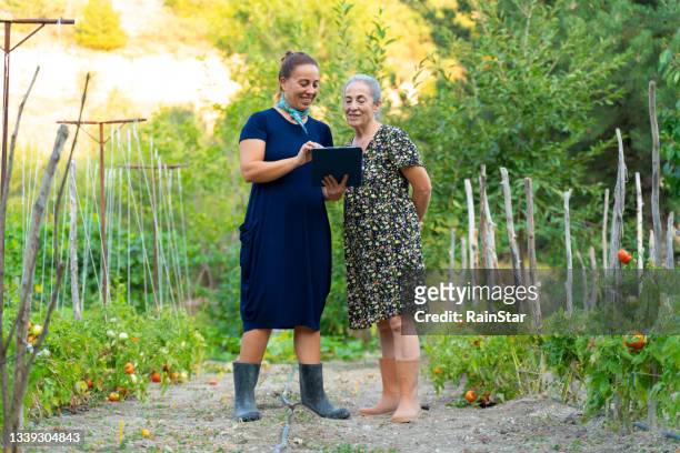 geschäftsfrau und landwirtin lesen dokumente im feld - star field stock-fotos und bilder