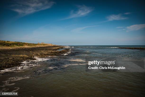 craster in northumberland - northumberland stock pictures, royalty-free photos & images