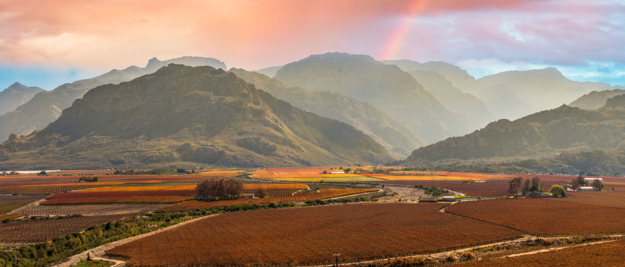 autumn south africa