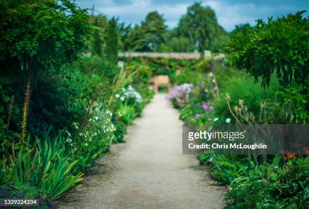 pathway in a walled english county garden - sentiero di giardino foto e immagini stock