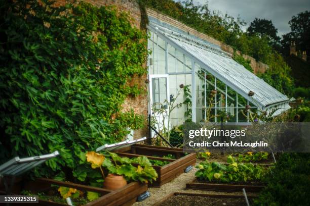 greenhouse in a walled english county garden - invernadero fotografías e imágenes de stock