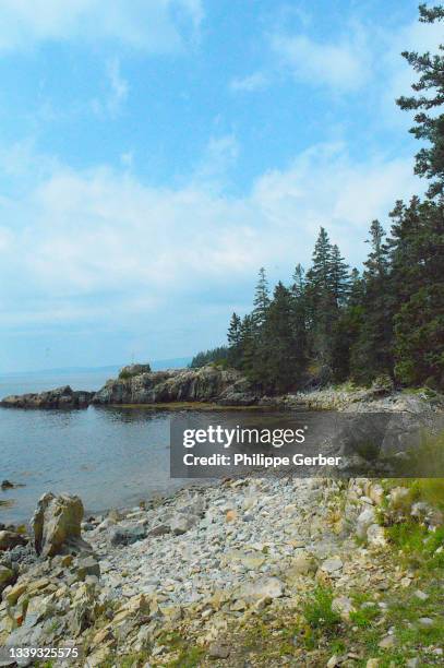 schoodic peninsula, acadia national park, maine - maine coastline stock pictures, royalty-free photos & images