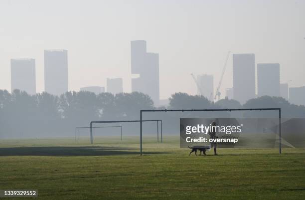 london dog walker - goal post 個照片及圖片檔