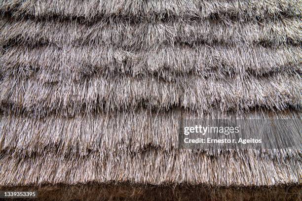 detail of a traditional thatched house (palheiro), santana, madeira, portugal - かやぶき屋根 ストックフォトと画像