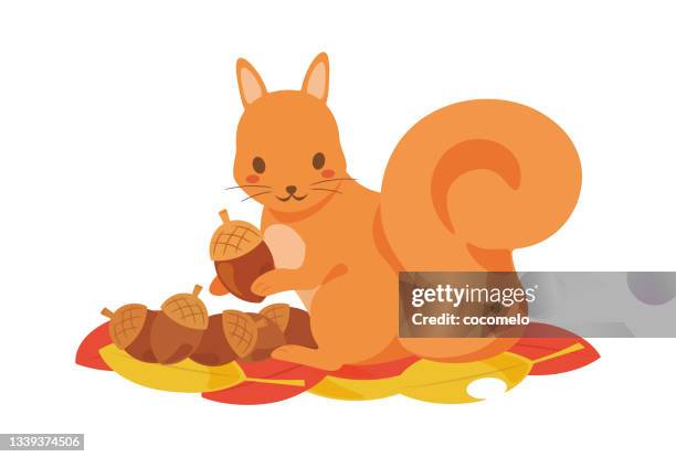 acorn and autumn leaves with squirrel. - squirrel stock illustrations
