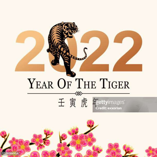 bildbanksillustrationer, clip art samt tecknat material och ikoner med 2022 year of the tiger greetings - looking over shoulder