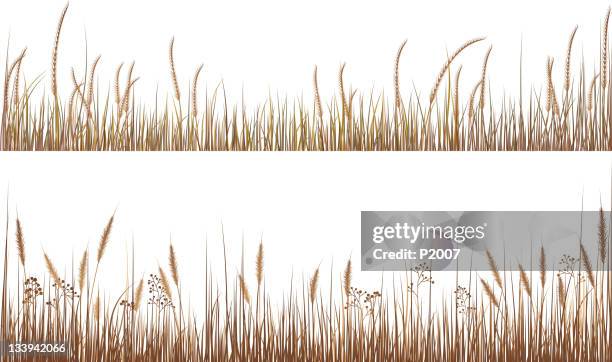 an illustration of dry grasses - tall high 幅插畫檔、美工圖案、卡通及圖標