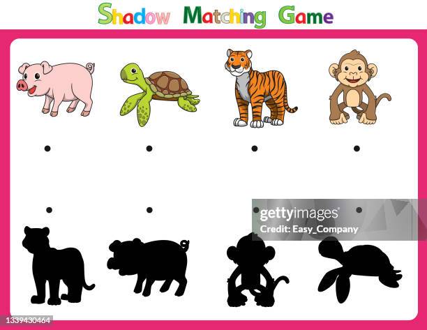 vector illustration for learning shadow of different shapes. for children witch 4 cartoon image pig, turtle, tiger, monkey. - tiger face stock illustrations