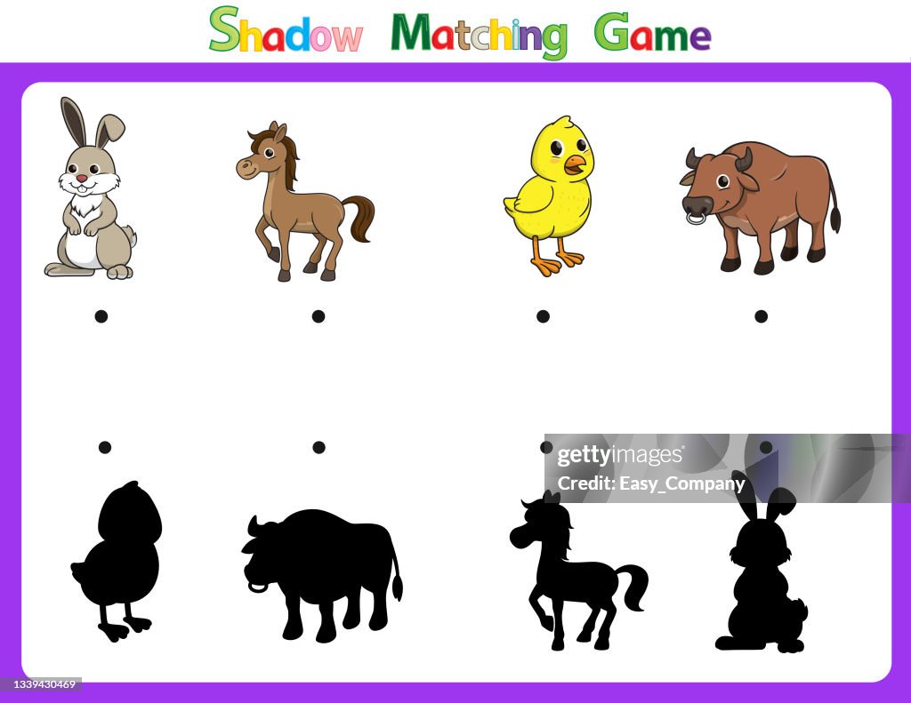 Vector Illustration For Learning Shadow Of Different Shapes For Children  Witch 4 Cartoon Image Rabbit Horse Chick Bull High-Res Vector Graphic -  Getty Images