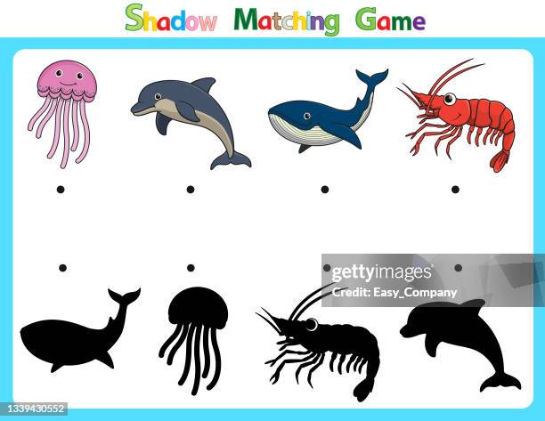 32点のジンベイザメイラスト素材 Getty Images 32点のジンベイザメイラスト素材 Getty Images