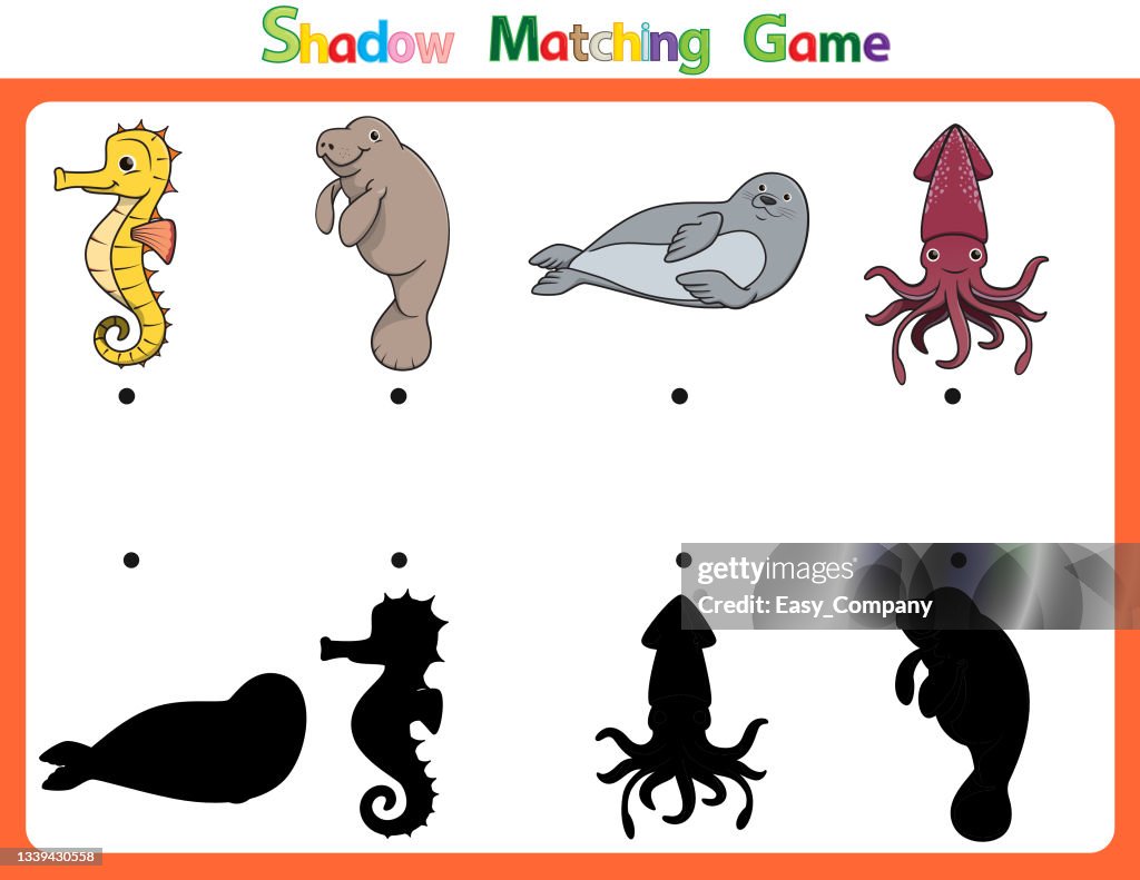 Vector illustration for learning shadow of different shapes. For children witch 4 cartoon images Sea horse, Dugong, Seal, Octopus .