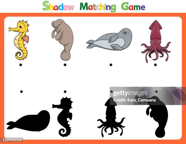 vector illustration for learning  shadow of different shapes. for children witch  4 cartoon images sea horse, dugong, seal, octopus  . - freshness seal stock illustrations