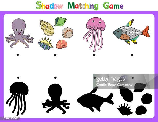vector illustration for learning  shadow of different shapes. for children witch  4 cartoon image octopus, shellfish, jellyfish, x-ray fish. - tentacle stock illustrations