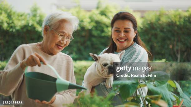 happy family spending leisure time in their garden. - mature adult gardening stock pictures, royalty-free photos & images