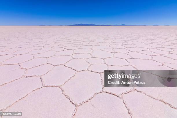 sunset at salar de uyuni, aitiplano, bolivia - potosi gebiet stock-fotos und bilder