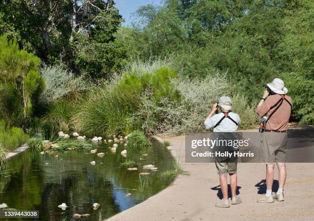 senior couple bird watching by a pond in a nature preserve - matching outfits stock pictures, royalty-free photos & images