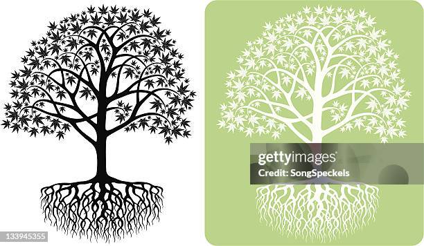 japanese maple tree silhouette - japanese maple tree stock illustrations