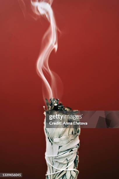 smoldering white sage with smoke on red background. process of room fumigation ritual. copy space for your design. front view and close-up - red salvia stock pictures, royalty-free photos & images