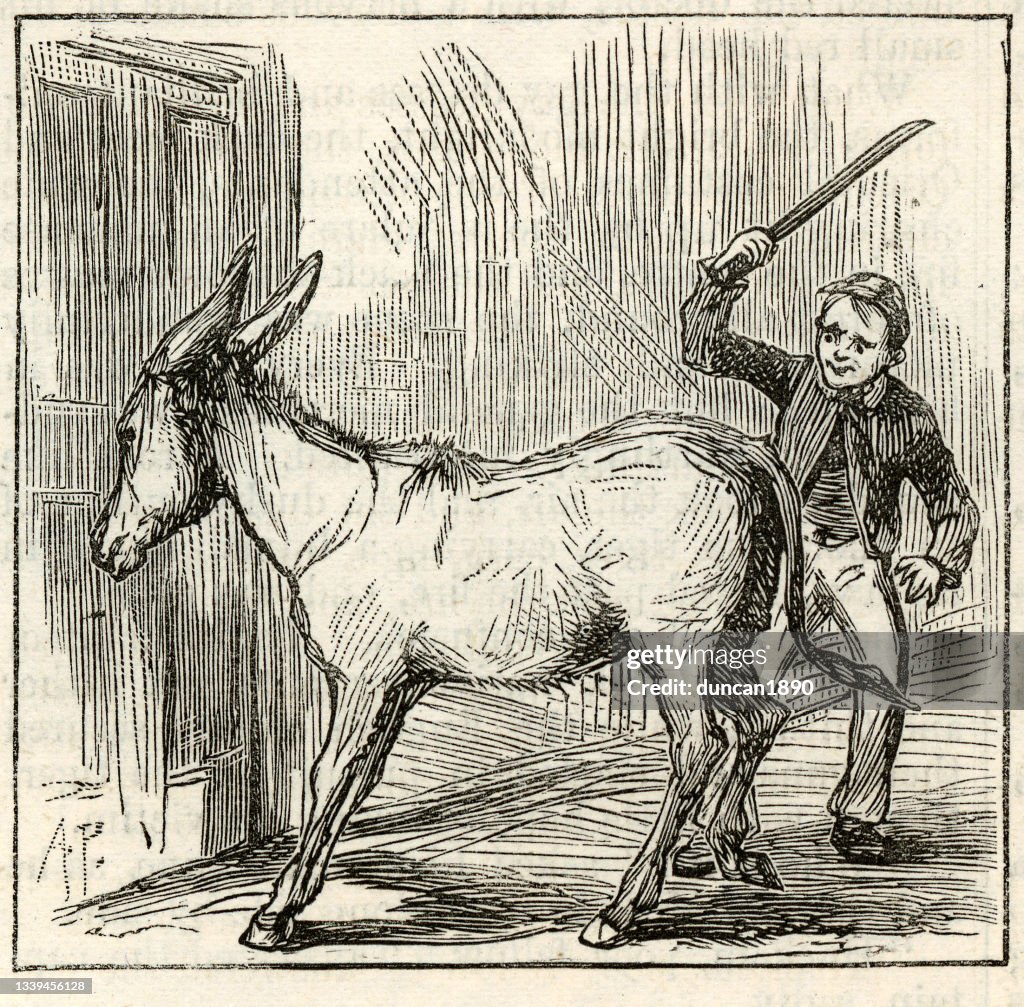 Cruel Boy Hitting A Donkey With A Stick Cruelty To Animals Victorian Art  Illustration High-Res Vector Graphic - Getty Images