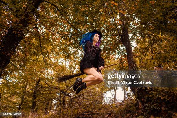 junge hexe fliegt auf einem besen durch den wald - witch flying on broom stock-fotos und bilder