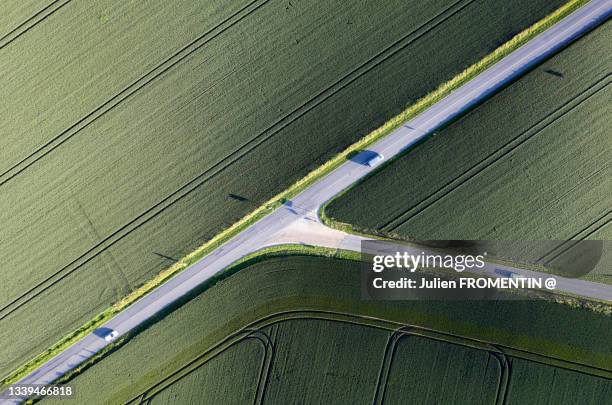 y - nature alphabet letters bildbanksfoton och bilder