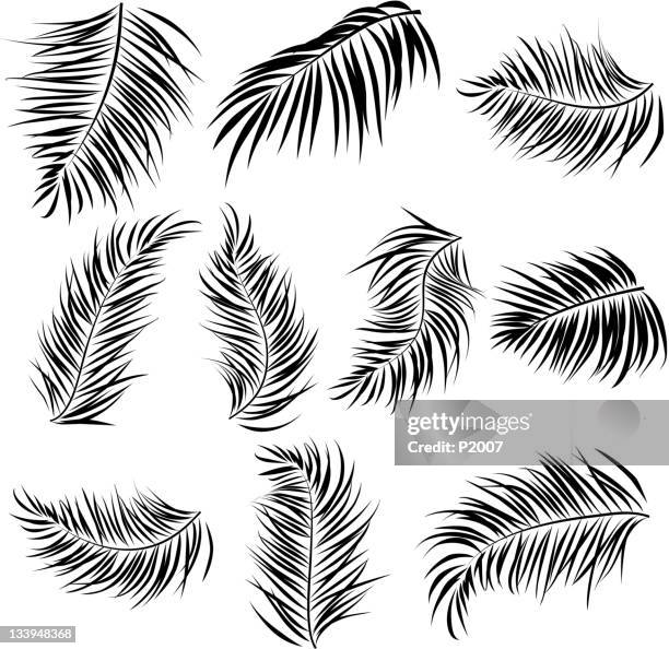 palm leaves elements - palm leaf stock illustrations