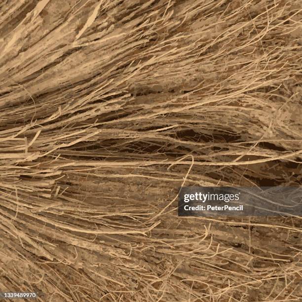 coconut fiber - grunge texture. black dusty scratchy pattern. abstract grainy background. vector design artwork. textured effect. crack. - used tissue stock illustrations