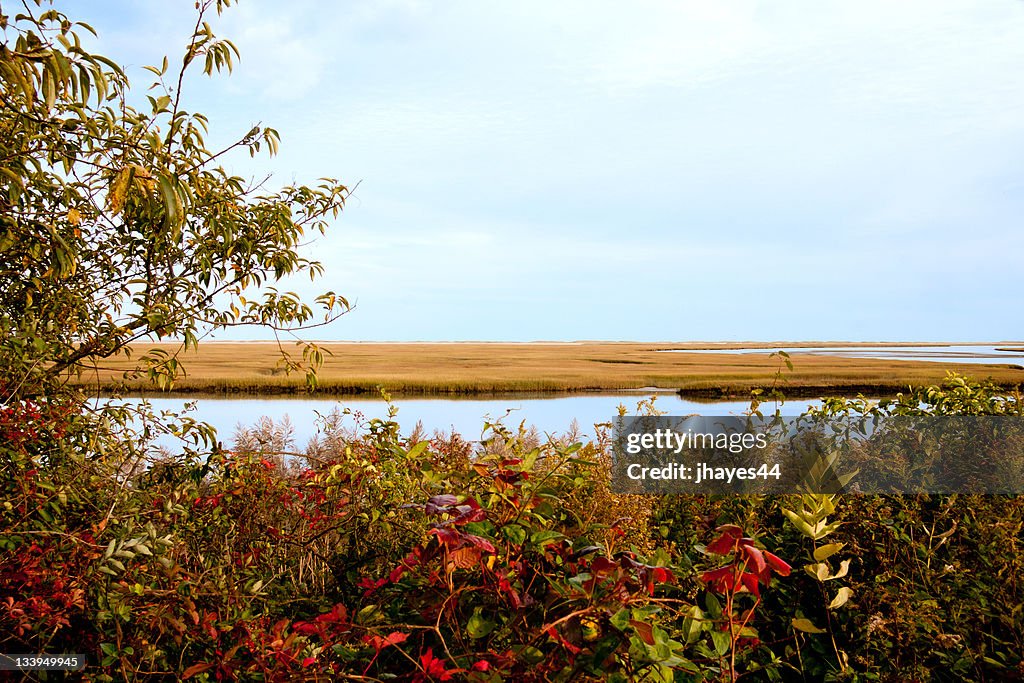 Nauset marsh