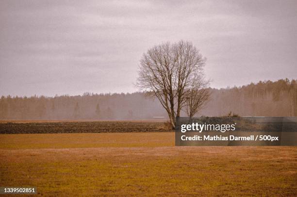 scenic view of field against sky - darmell bildbanksfoton och bilder